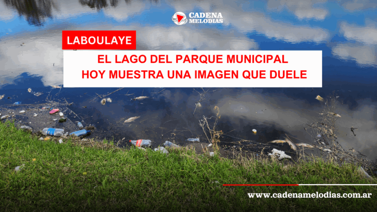 💀 Lo que era un espacio de vida, hoy muestra señales de muerte