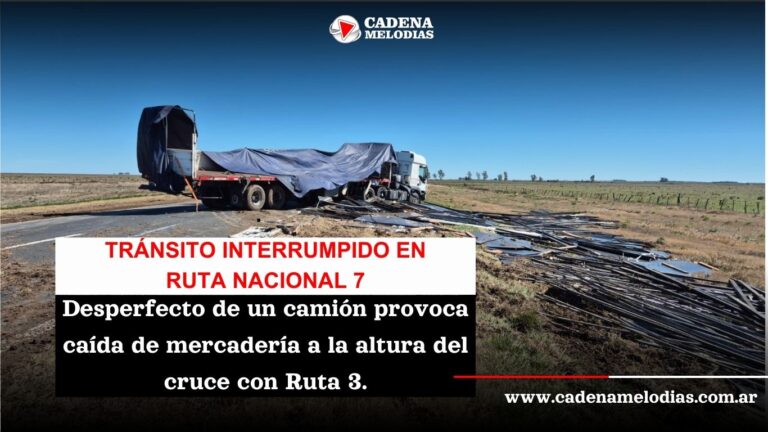 Desperfecto en camión provoca caída de carga en RN 7