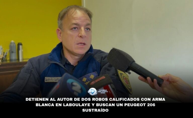 Parte Policial: Detienen a autor de dos robos calificados y buscan un vehículo sustraído
