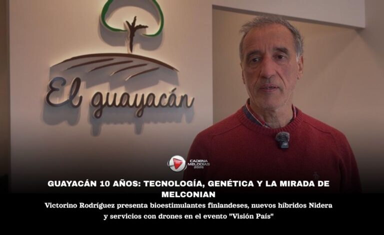 Guayacán Celebra su Década con Apuesta Fuerte a la Tecnología y la Economía